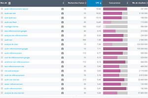 Monitoring mots-clés Angers