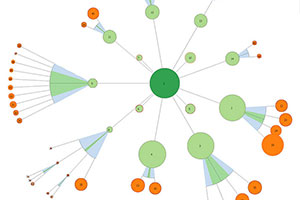 Visualisation maillage interne Angers